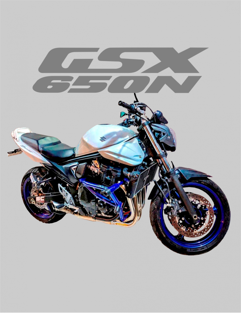 Stunt Cage GSX 650N SUZUKI
